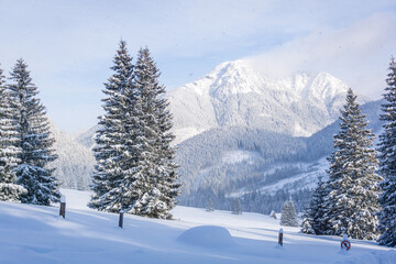 Fototapeta na wymiar Mountain valley in winter. Chochołowska Valley, Tatra Mountains, Poland