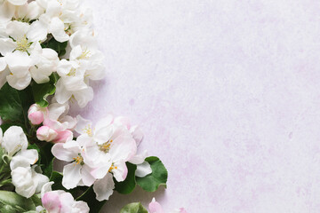 Fototapeta na wymiar Flat lay of white apple blossom flowers over light lilac background. Top view, copy space.