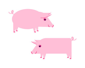 Vector illustration with funny, cute, pink piglets. Flat design..