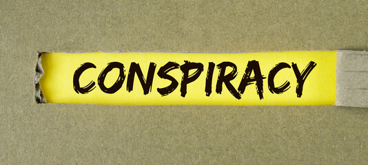 Conspiracy theories inscription. Business and government fake ideas