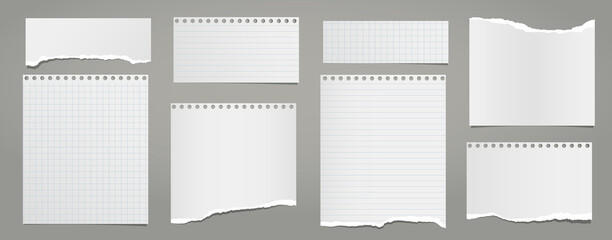 Set of torn white lined, math note, notebook paper pieces stuck on grey background. Vector illustration