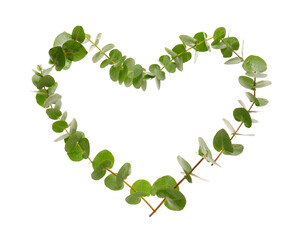 Heart made of eucalyptus branches on white background