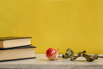 Rosa marchita junto a unos libros sobre una mesa de mármol. Concepto decoración de interiores