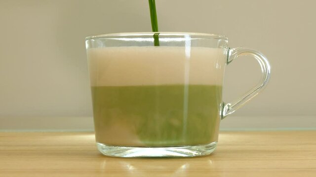 Made matcha latte. Pouring matcha tea into the frothed oat milk.