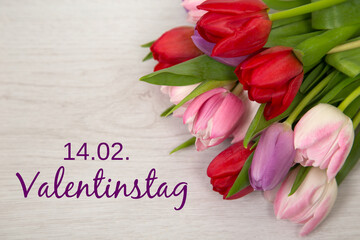 14. Februar-Tulpen zum Valentinstag