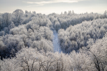 Obraz na płótnie Canvas Winter road surrounded by a snowy winter forest in the Moscow region. The nature of Russia.