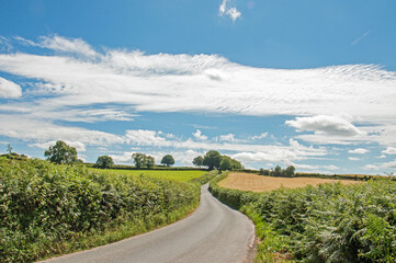 Fototapeta na wymiar Country lane near the border of England and Wales in the summertime.