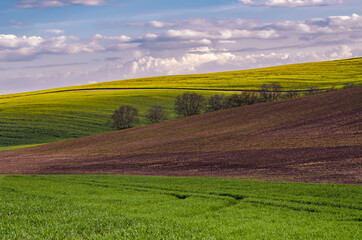 Fototapeta premium Rural spring landscape