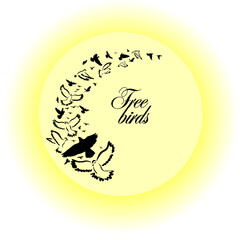 Birds flying in the sun. Vector illustration