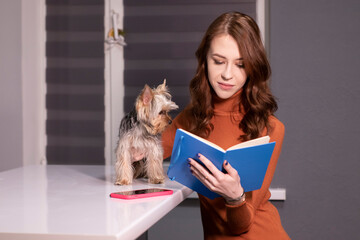 charming brunette woman in brown golf with blue notebook and a Yorkshire Terrier puppy sitting at table in gray room. pet, animal