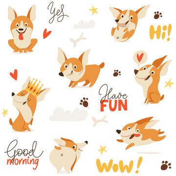 Seamless background with cute welsh corgi dog images for textile or any prints