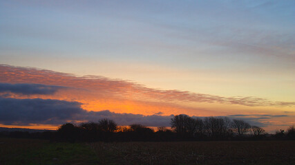 Winter sunrise in Cornwall over trees