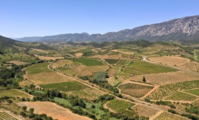 Fototapeta premium survol des vignes de Maury dans les Pyrénées-Orientales