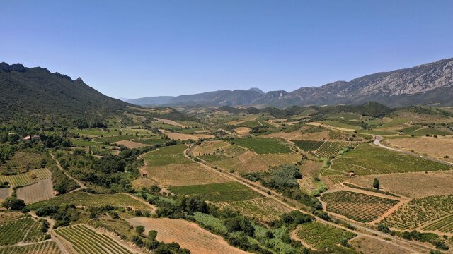 survol des vignes de Maury dans les Pyr&eacute;n&eacute;es-Orientales