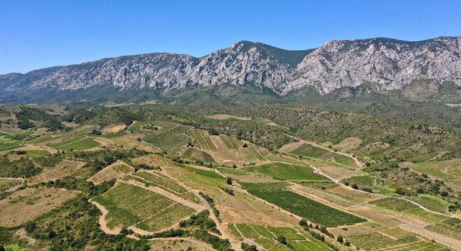 survol des vignes de Maury dans les Pyr&eacute;n&eacute;es-Orientales