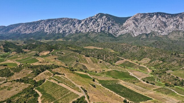 survol des vignes de Maury dans les Pyr&eacute;n&eacute;es-Orientales