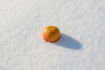 Tropical bright grapefruit in the snow. Winter still life.