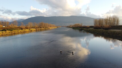 Bald Eagle on the Canal
