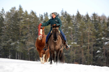 Schönstes Hobby der Welt: Reiten im Winter
