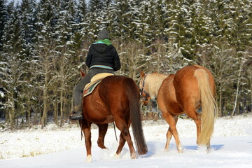 Schönstes Hobby der Welt: Reiten im Winter