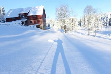 The skier and the old barn.