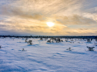 winter landscape with snow