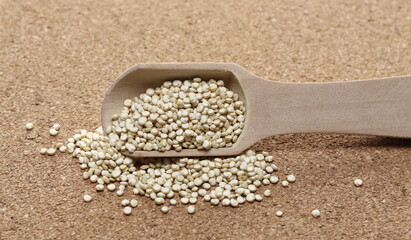 Quinoa seeds with wooden spoon on cork background, macro