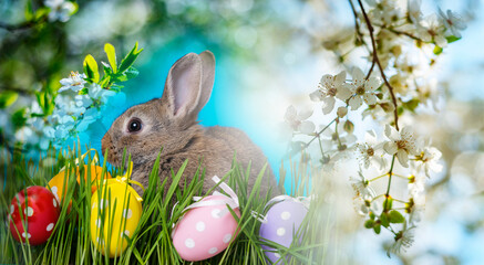brown easter rabbit and easter eggs in grass
