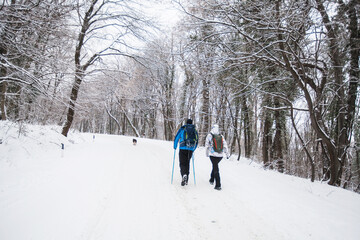 Hikers with backpack hiking on snowy trail. Couple walking together at winter day. Back view.