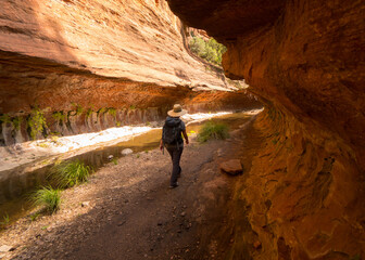 Desert Hiking Canyon River