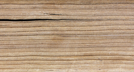 Fototapeta premium Texture of the book pages. Old pages lying on top of each other