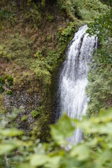 Obraz premium waterfall in the forest, close shot 