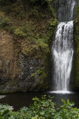 Obraz premium waterfall in the forest