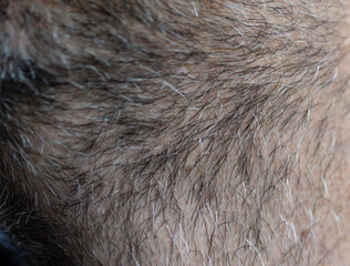 Close-up of an unshaven male face. Selective close-up macro photography with a blurry background