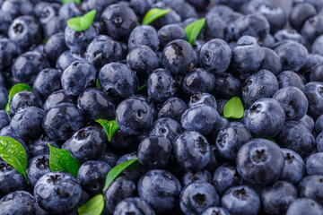Fresh blueberry background. Blueberry Texture Close Blueberry Antioxidant Organic Superpeed Bowl Concept Healthy Nutrition