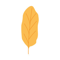 yellow leaf icon, colorful design