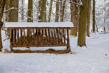 Hay feeder for deer and stags in the forest, the garden of medieval Castle Blatna in winter sunny day, Czech Republic