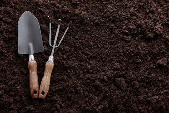 Garden tools on fertile soil background, copy space