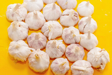 Fresh garlic bulbs on yellow background