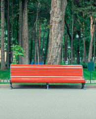 red bench in spring park