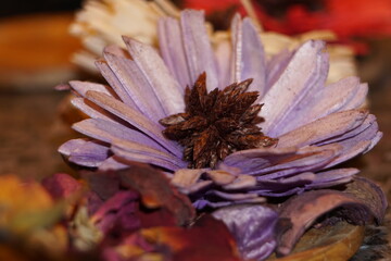 Dry flowers decoration