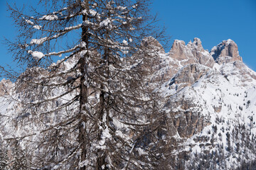 un bel paesaggio invernale, il bosco e le montagne coperte dalla neve, il manto di neve rende il...