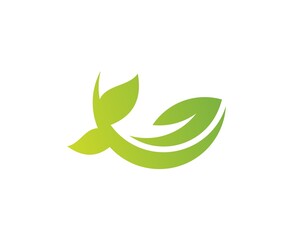 Obraz premium Leaf logo 