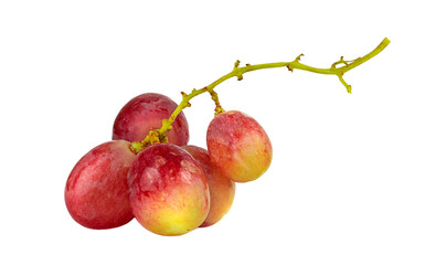 Small branch of grapes isolated on white background.