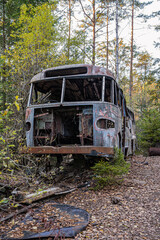 Old cars in wild nature on the car cemetery of Kyrk&ouml; Mosse in Sweden