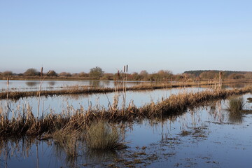 Flooding onto river floodplains
