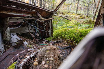 Old cars in wild nature on the car cemetery of Kyrk&ouml; Mosse in Sweden