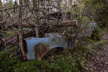 Old cars in wild nature on the car cemetery of Kyrkö Mossei in Sweden