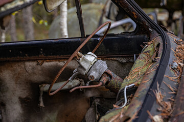 Old cars in wild nature on the car cemetery of Kyrkö Mossei in Sweden