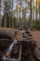Fototapeta na wymiar Old cars in wild nature on the car cemetery of Kyrkö Mossei in Sweden